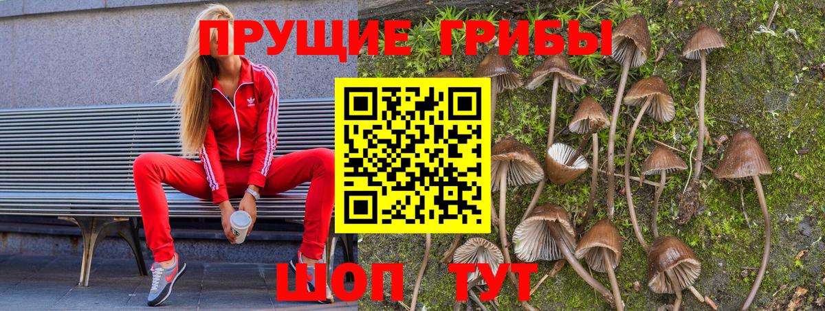 Псилоцибиновые грибы ЛСД Семилуки