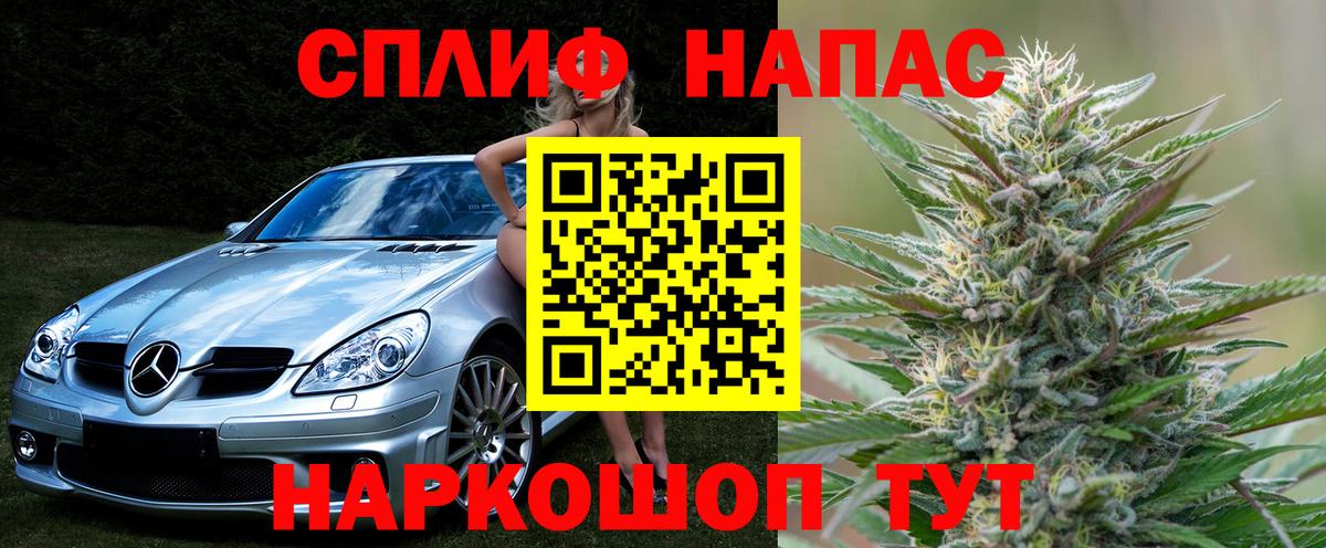 Каннабис планчик  Каннабис индика  МАРИХУАНА Bruce Banner  Семилуки  Вход с VPN 